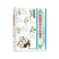抗菌消炎中药速查：不可不知的“天然抗生素”