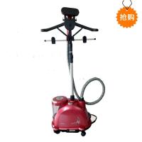 莱克/LEXY 手持家用挂烫机 GT2302 玫红色