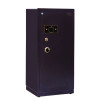 振兴(ZHENXING)FDX-A/D-100A1金苹果系列防盗保险箱