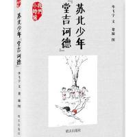 苏北少年"堂吉诃德"