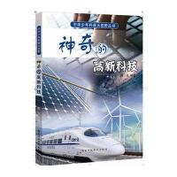 中华少年科普大视野丛书：神奇的高新科技