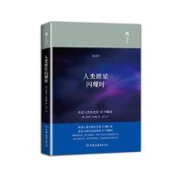 人类群星闪耀时(精装版)