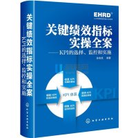 关键绩效指标实操全案:KPI的选择、监控和实施