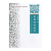 民事诉讼法学——原理·规则·案例