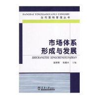 市场体系形成与发展：当代营销管理丛书