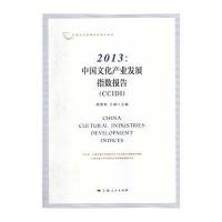 2013：中国文化产业发展指数报告(CCIDI)
