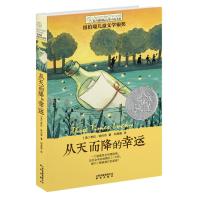 常青藤国际大奖小说书系；从天而降的幸运
