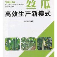 南方蔬菜生产新模式丛书：丝瓜高效生产新模式