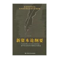 新资本论纲要：马庆泉博士与马克思的对话：若干政治经济学新概念的阐述