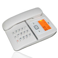 TCL 电话机 HCD868(133)TSD 来电显示电话机(白色)