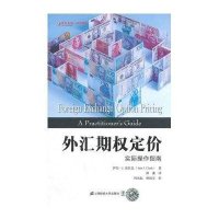 外汇期权定价：实际操作指南（引进版）