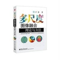 多尺度图像融合理论与方法