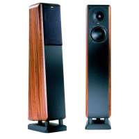 Constellation Pegasus (WA) F