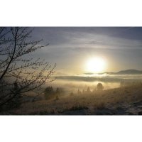 迷你树婴童围巾