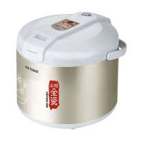 天际微电脑陶瓷电饭煲CFXB-W230Y金色