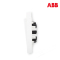 ABB开关插座 德宁雅白 双联/二位/二开单控开关面板86型AN102