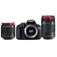 佳能 数码单反相机 EOS 1200D双镜头套机(黑)+8G卡+EOS初级风景相机包