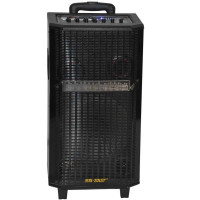 先科（SAST) L-910拉杆音响