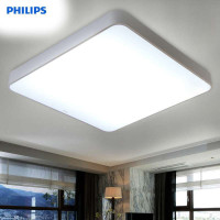 飞利浦(PHILIPS)吸顶灯 客厅餐厅卧室吸顶灯灯具饰 30759品轩吸顶灯 40W 240V