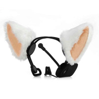 猫的秘密+健康监测+80037-005