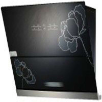 真情好太太油烟机s906侧吸