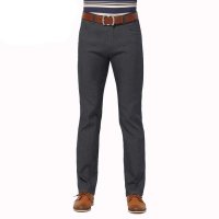 红豆男装时尚休闲2014夏装柔软透气修身薄款休闲裤HDHWG5K5308