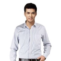 红豆男装时尚休闲2014新款条纹修身气质长袖衬衫HDHWE5C8109-1-2