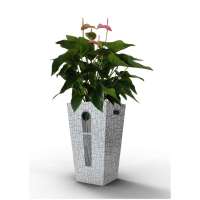 生泰宝植物加湿净化器SF55-02钧瓷