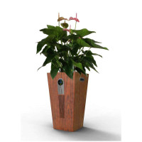 生泰宝植物空气加湿净化器SF65-02木纹