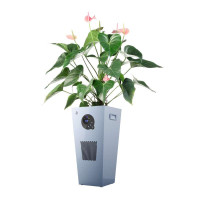 生泰宝植物加湿净化器SF65-03象牙白