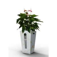 生泰宝植物加湿净化器SF55-02石纹