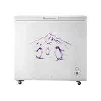 容声冷柜BD/BC-205C