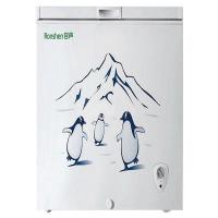 容声冷柜BD/BC-100N