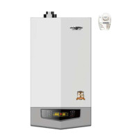 AO史密斯壁挂炉L1PB26-G