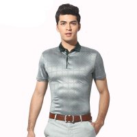 红豆男装2014夏装新品 蚕丝格纹短袖T恤 商务休闲直筒翻领T恤HDHWD5T6104