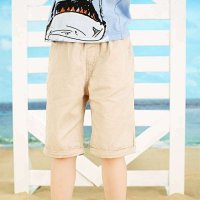 龙太子2014新款男童短裤五分裤 纯棉休闲短裤