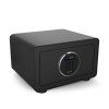 PHILIPS飞利浦家用办公酒店保险箱 固定墙面 电子保险箱 保险柜ALP1025A(黑色)