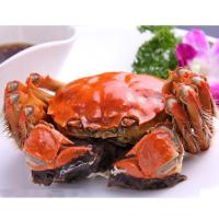 蟹联蟹业 阳澄湖大闸蟹 公蟹4.5-4两/母蟹3.5-3两 单只出售 (公母自选)