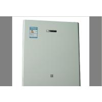 樱雪壁挂炉L1P24-J1302