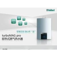 威能强排快速式17升豪华型恒温机JSQ34-MAG PRO CN 17-2/3H