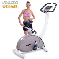 美国优沃YOWZA 磁控健身车 B100家用静音健身车