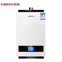 前锋燃气热水器JSQ26-E613