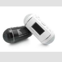 熊猫音频播放器 DS-147