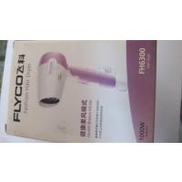 飞科电吹风FH6300