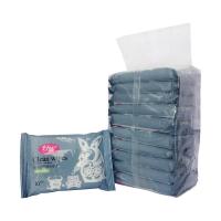 轩妮生肖兔时尚护肤清洁湿巾10片启封装10片*10包