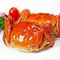 金世尊 阳澄湖大闸蟹礼盒488型