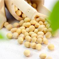 健澜园 有机大豆 330g