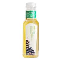 东方树叶原味茶饮料绿茶480ml