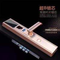 TZF2天智家用指纹锁 高端智能锁 家庭密码锁