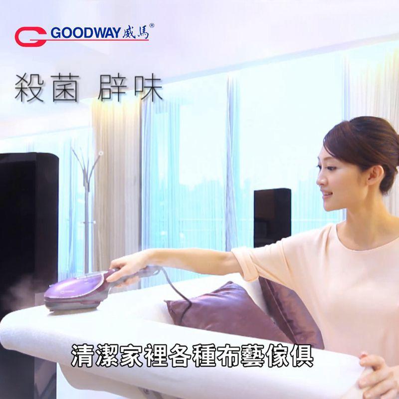 威马电子调温多功能电熨斗挂烫机G-682